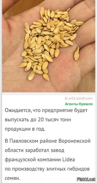 Если это какое-нить ГМО – может, лучше ну его нафиг?..