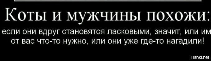 Скрины из социальных сетей