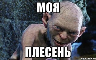 Забыл на неделю спагетти с грибами в микроволновке