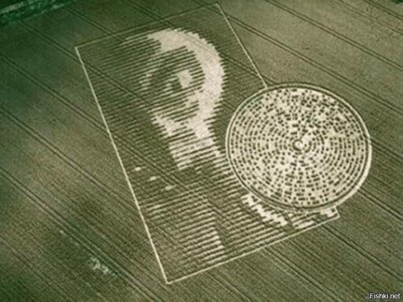 «Послания Аресибо» было услышано!!! В Великобритании, в графстве Чилболтон, на пшеничном поле у Радиотелескопа (что символично) в 2001 году был получен ответ. В нижней части ответа "паучок" это источник ответа - НЛО  в разрезе, в центре крестик - пилот, прямоугольник вокруг него - корпус аппарата, уменьшающиея кубики - силовое двигательное поле генерируемое НЛО  через 4 отверстия в корпусе. Последнее фото - то же НЛО, но в виде кружочков. Через год, в 5 км от этого поля пришло письмо от другой цивилизации...