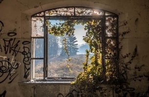 Таких приютов, из окна местных заброшек можно насмотреться до несхочу...