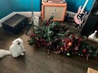 Когда игрушки были стеклянными – было значительно "веселее"...