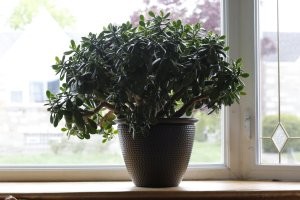 Еще как работает!