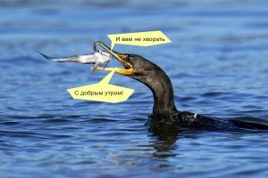 С добрым утром!