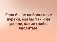 Скрины из социальных сетей