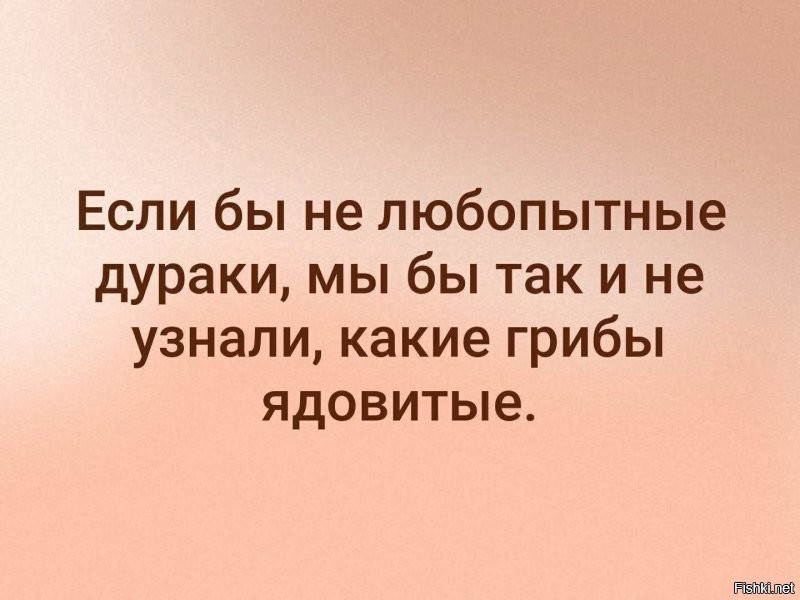 Скрины из социальных сетей