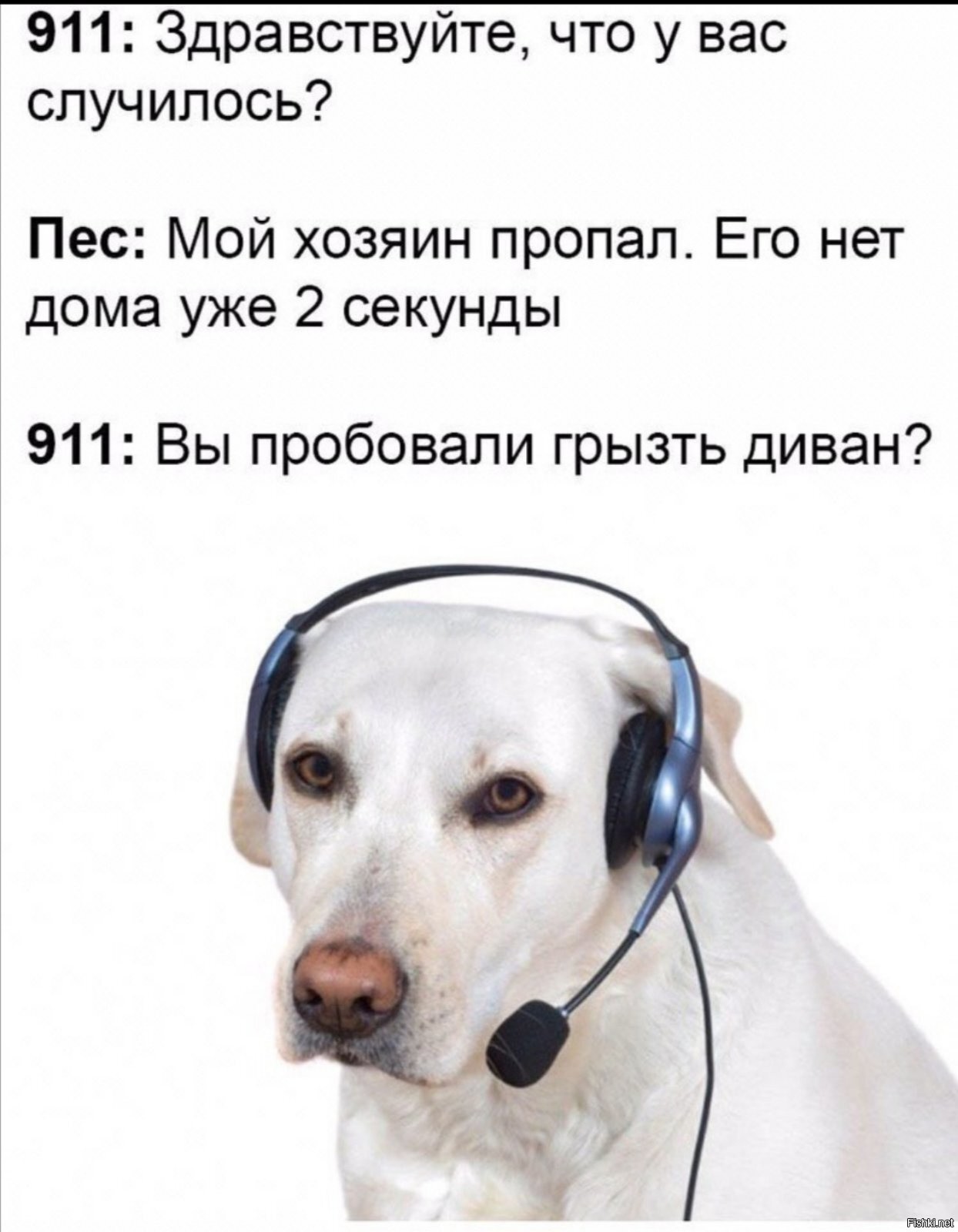 Звонкие собаки