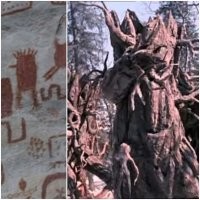 Точно из Сибири пришли
