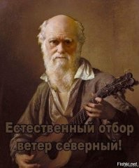 Сахалинец едва не сгорел, решив растопить зажигалкой лед на бензобаке во время заправки