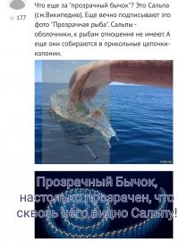 "Что еще за "прозрачный бычок"?" 

Вот так виднее: