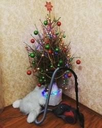 Самый простой способ.