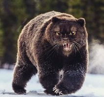 Коты везде:  мозговыносящая подборка