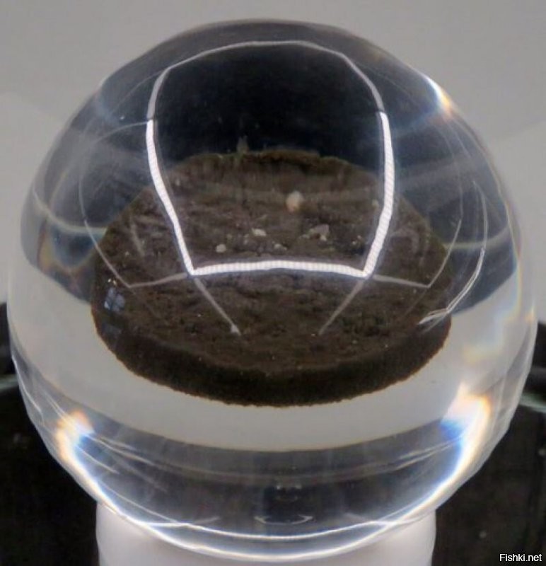 Грунт с луны 16 1970г.