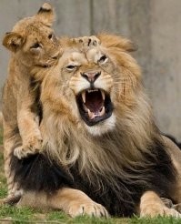 Это не мама.