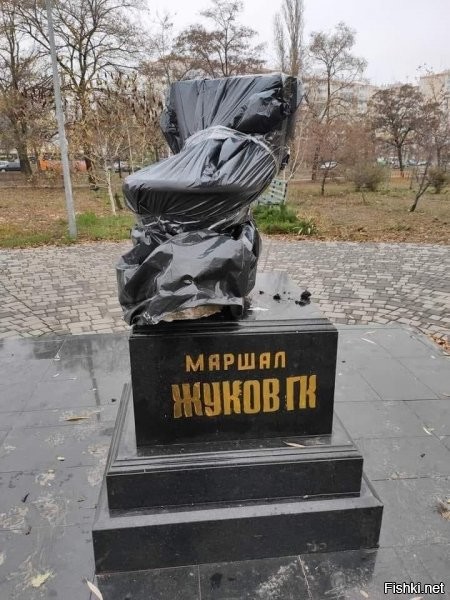 Этот предмет собирает то, что потом поступает им в головы.  Как же не молиться на него?!