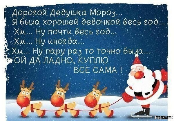 Стало известно, что россияне просят у Деда Мороза на Новый год