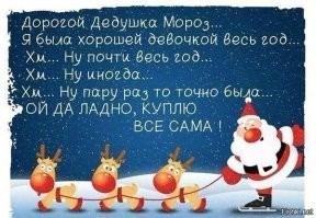 Стало известно, что россияне просят у Деда Мороза на Новый год
