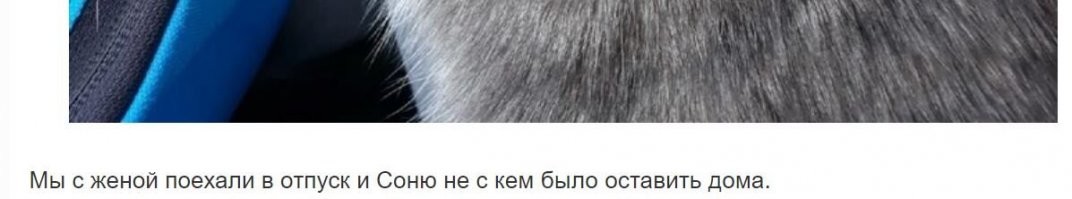 Алиса с "женой"?