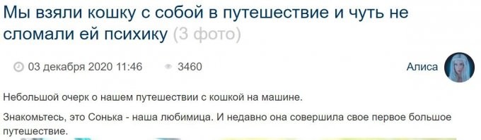 Алиса с "женой"?