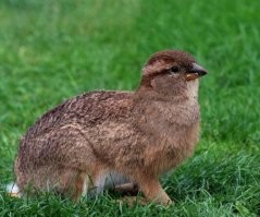 Вот ты где!
Сбежать хотел?