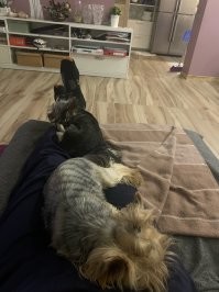 Ахахаха , мои тоже любители в ногах поспать))))