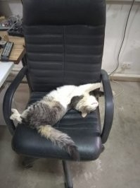Пришёл на работу ко мне, Виталиком назвали.