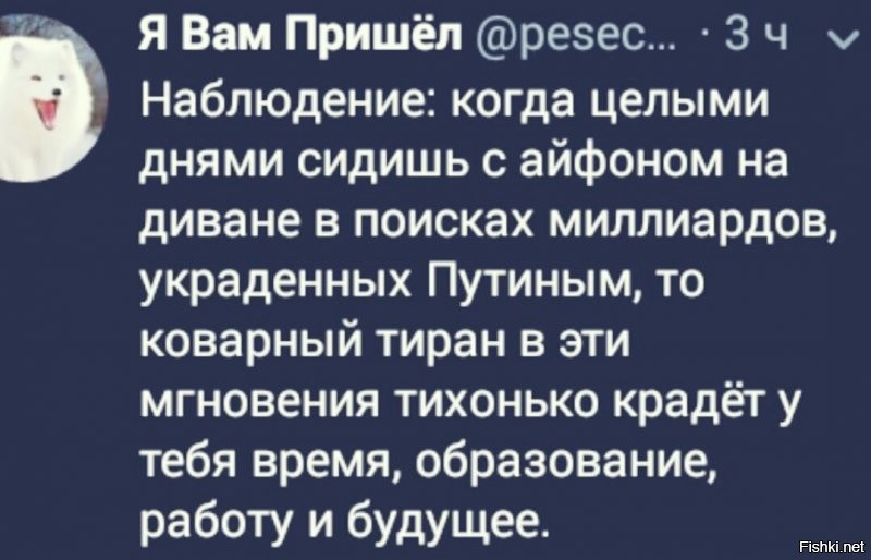 Политические комментарии из инета