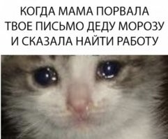 Стало известно, что россияне просят у Деда Мороза на Новый год