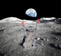 Фотоподборка