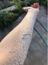 Скрины из социальных сетей
