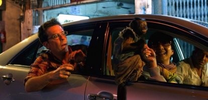 Я догадываюсь чья это обезьяна.