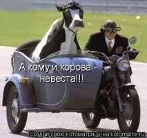 В Якутии провели конкурс красоты среди коров