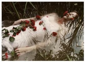 Where The Wild Roses Grow
