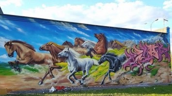 19 фото уличных граффити, которые хочется видеть чаще