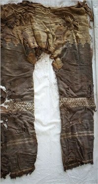 Иностранные слова "брюки", "трусы", "штаны" были заимствованы в русский язык только в форме множественного числа, хотя в своих родных языках они существуют и в форме единственного числа. 
И слово "портки" (тоже, кстати, заимствованное) в отношении штанов использовалось на Руси во множественном числе. Но интересно, что слово "портки" изначально также имело и единственное число - порток (пъртъкъ) или портъ (пъртъ)!
Так что говорить о том, что "штаны и брюки являются существительными множественного или двойственного числа" с уверенностью можно только в отношении родного русского языка, да ещё английского - trousers (брюки, штаны). 
Почему так, сложно сказать. Можно предположить, что отношение к штанам (брюкам, порткам) исключительно как к понятию множественному и в наш, и в английский язык принесли викинги - Рюрик на Русь, Хальфдан в Британию. Вроде как норвежско-датские слова "bukser" и "benklær" - существуют только во множественном числе (хотя в этом я не совсем уверен).
Про французский, голландский и немецкий языки я уже писал. В итальянском слово calzone (брюки, кальсоны) также существует как во множественном, так и в единственном числе.
Однозначно, утверждение автора про "в большинстве языков" - не соответствует действительности. В большинстве языков брюки/штаны имеют как раз единственное число. И это объяснимо - самые древние штаны представляли собой отнюдь не отдельные штанины, как пишет автор, а вполне себе единый предмет одежды.