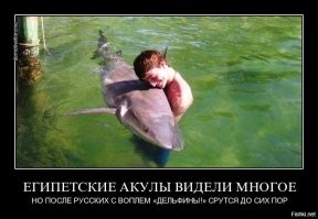 На немку у берегов египетского Марса-эль-Алама напала акула