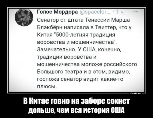 О политике и не только