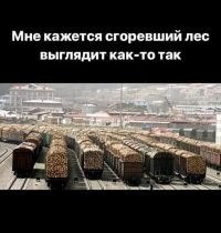 Ничего не напоминает?