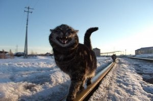 С добрым утром!