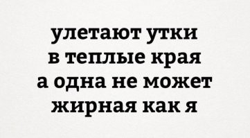 В заповеднике во Франции черный ягуар набрал жирок к зиме
