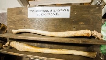 Ритуальные костюмы американских индейцев