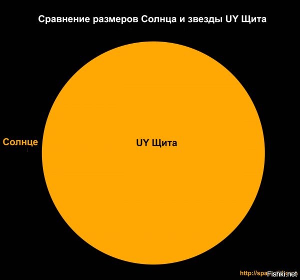 Сверхгигант UY Щита с некоторой оговоркой можно назвать самой крупной звездой из наблюдаемых в наши дни. UY Щита удалён от нас на 9500 световых лет и наблюдается как тусклая переменная звёздочка, различимая в небольшой телескоп. По оценкам астрономов, её радиус превышает 1700 радиусов Солнца, а в период пульсации этот размер может увеличиться до целых 2000.



Сравнение размеров Солнца и звезды UY Щита. Солнце   почти невидимый пиксель слева от UY Щита.

Но при этом чудовищный размер UY Щита совершенно несопоставим с её массой - эта звезда "всего лишь" в 7-10 раз массивнее Солнца. Средняя плотность этого сверхгиганта почти в миллион раз ниже плотности окружающего нас воздуха. Для сравнения, плотность Солнца в полтора раза превышает плотность воды, а крупица материи нейтронной звезды и вовсе "весит" миллионы тон.