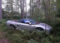 Ну прямо охренеть как в лесу.. В 10 метрах от забора. Прямо инфаркт обеспечен...