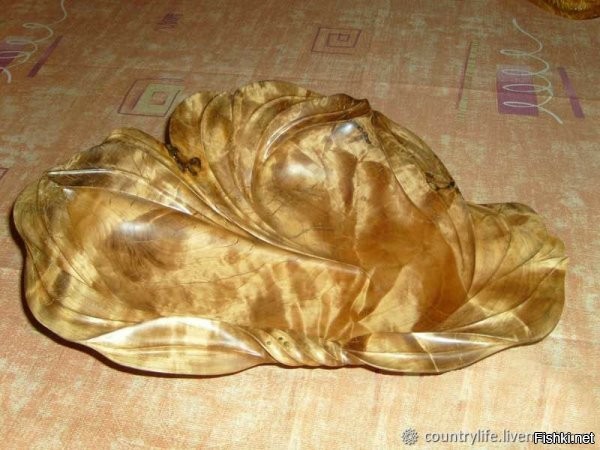 За серый, не читабельный шрифт - минус!
По теме поста: закручивание, по внутреннему рисунку волокон, очень похоже на прикорневую берёзовую сувель, почему-то распространившуюся на другие части ствола и имеющую чёткое направление.. Возможно клюнул заражённый какой-нибудь экземой/бородавками дятел. ;) Так как на структуру бородавки в мышечных волокнах, тоже, очень похоже...
Не путать сувель с капом и с чагой!
* Сувель есть на всех деревьях. От корня, высотой около метра, волнисто перекрученные внутри волокна. Самая крепкая часть ствола. Используется для изготовления рукояток молотков, кувалд, колунов, топоров. Частенько, ввиду отсутствия капа, для изготовления резных поделок, посуды. На солнце - светится и переливается, как перламутр. Иногда, особо сильно закрученные экземпляры сувели, пытаются втюхать несведущим, за карельскую берёзу. 
*



*
Кап - обязательно выступающий шарообразный нарост на стволе. Структура узловатая, часто с кавернами, типа червоточин. Регулярно имеет проросшие насквозь веточки или почки. Встречается редко, чем и ценен, помимо твёрдости и красоты рисунка. Тоже, часто выдают за карельскую берёзу.
*


* 
Чага вообще ГРИБ! Легко срезается ножом-топором. В измельчённом виде - заваривают и пьют, как чёрный чай. Вкусно! Лекарственно. Часто путают с капом. В лесу встречается редко. Чаще - в аптеках.
*