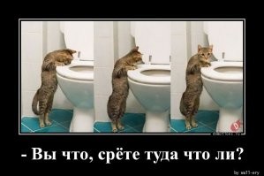 Смешные и познавательные картинки