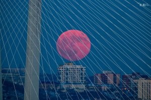 Тсс.. Не показывайте Заку! У нас половина Владивостока вот такую луну  на телефон нащелкали!)))