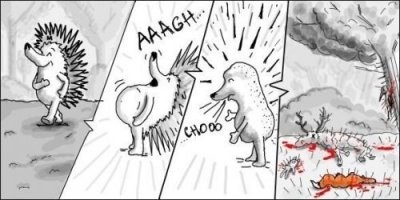 Смешные и познавательные картинки