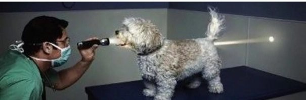 Только наоборот.