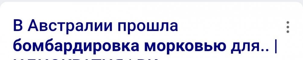 20 страшилок для туристов: удивительные находки в лесу, от которых можно получить инфаркт