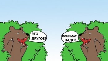 На пляже в Австралии были обнаружены десятки мёртвых акул